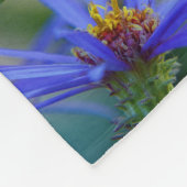 Blau blüht Wiesenfeldgarten-Blumenblattreben Fleecedecke (Ecke)