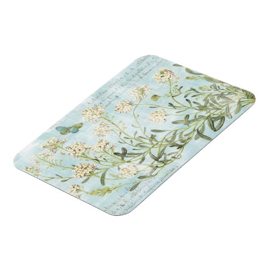 Blau botanisch magnet (Linke Seite)