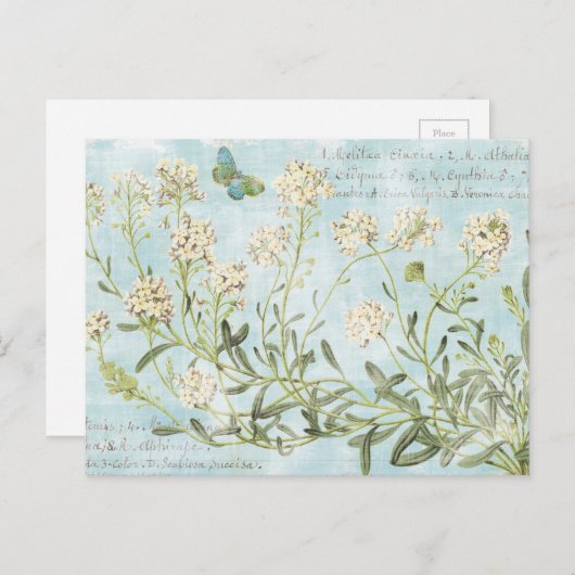 Blau botanisch postkarte (Vorne/Hinten)