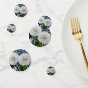 blau, Butterblume, Pflanze, Löwenzahn, Weiß, Konfetti
