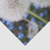 blau, Butterblume, Pflanze, Löwenzahn, Weiß, Seidenpapier (Ausschnitt)