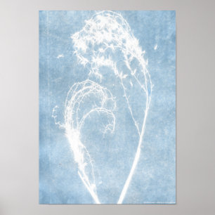 Blau Cyanotypie Pflanze Herz Poster