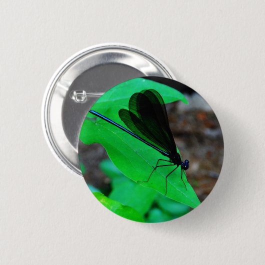 Blau Damselfly auf einem grünen Blatt. Button (Vorne & Hinten)