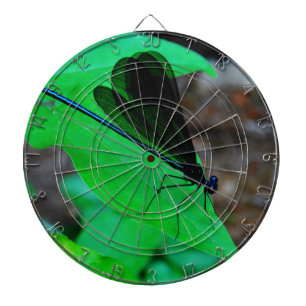 Blau Damselfly auf einem grünen Blatt. Dartscheibe