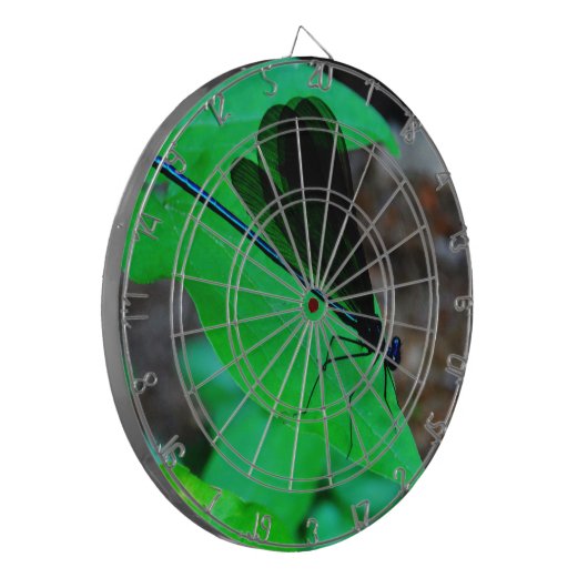 Blau Damselfly auf einem grünen Blatt. Dartscheibe (Vorderseite Links)