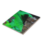 Blau Damselfly auf einem grünen Blatt. Fliese (Seite)