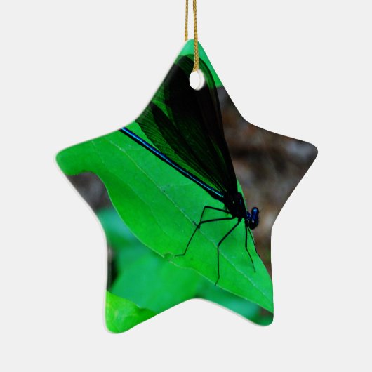 Blau Damselfly auf einem grünen Blatt. Keramikornament (Rechts)