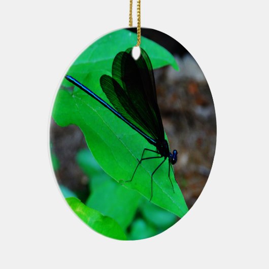 Blau Damselfly auf einem grünen Blatt. Keramikornament (Rechts)