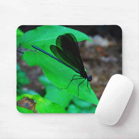 Blau Damselfly auf einem grünen Blatt. Mousepad (Mit Mouse)