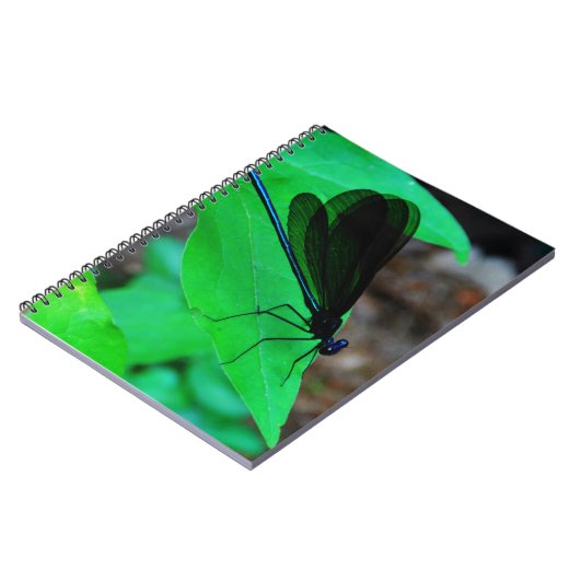 Blau Damselfly auf einem grünen Blatt. Notizblock (Linke Seite)