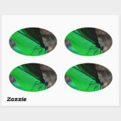 Blau Damselfly auf einem grünen Blatt. Ovaler Aufkleber (Blatt)