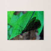 Blau Damselfly auf einem grünen Blatt. Puzzle (Horizontal)