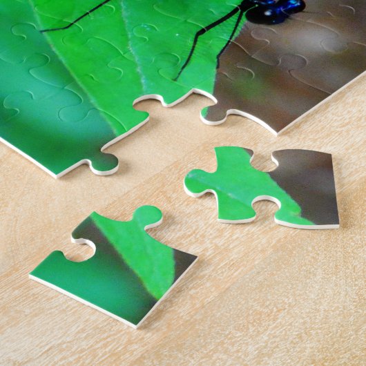 Blau Damselfly auf einem grünen Blatt. Puzzle (Seite)