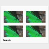 Blau Damselfly auf einem grünen Blatt. Rechteckiger Aufkleber (Blatt)