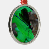 Blau Damselfly auf einem grünen Blatt. Silbernes Ornament (Rechts)