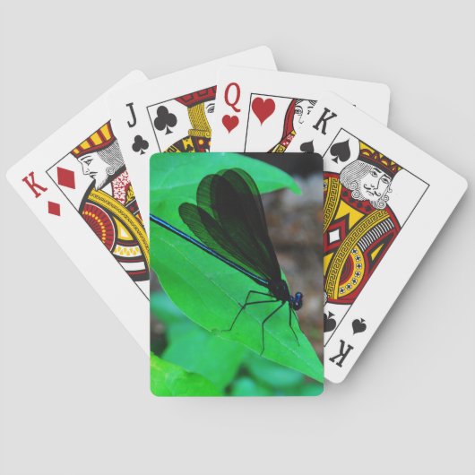 Blau Damselfly auf einem grünen Blatt. Spielkarten (Rückseite)