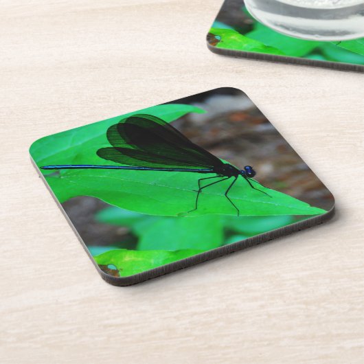 Blau Damselfly auf einem grünen Blatt. Untersetzer (Linke Seite)