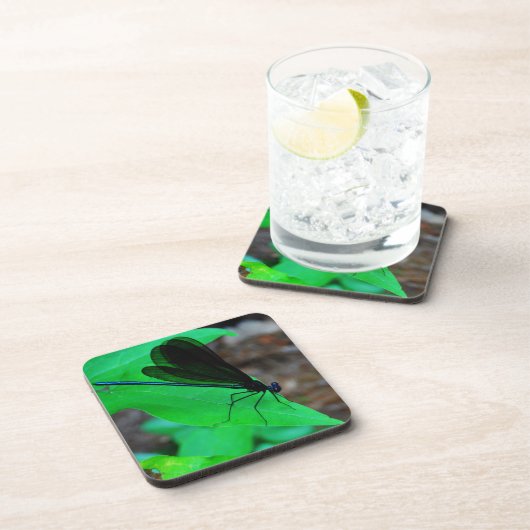 Blau Damselfly auf einem grünen Blatt. Untersetzer (Rechte Seite)