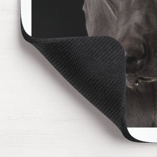 Blau das Weimaraner Mousepad (Ecke)