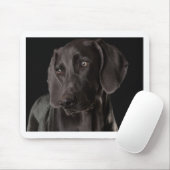 Blau das Weimaraner Mousepad (Mit Mouse)