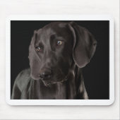 Blau das Weimaraner Mousepad (Vorne)