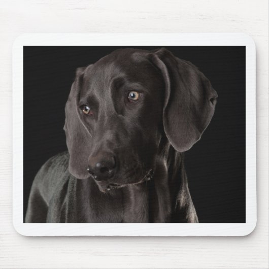 Blau das Weimaraner Mousepad (Vorne)