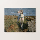 Blau des Windhundes Puzzle (Horizontal)
