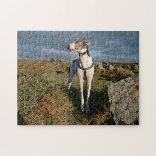 Blau des Windhundes Puzzle (Horizontal)