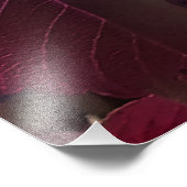 Blau-elektrische Rose Fotodruck (Ecke)