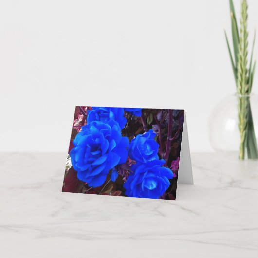 Blau-elektrische Rose Karte (Vorderseite)