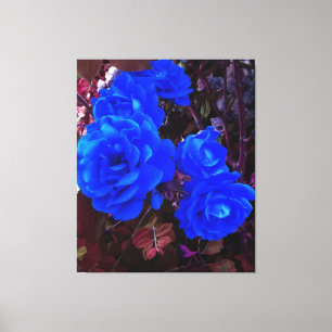 Blau-elektrische Rose Leinwanddruck