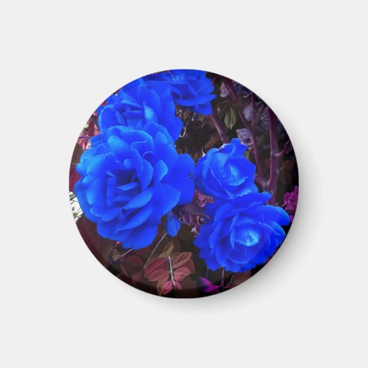Blau-elektrische Rose Magnet (Vorne)