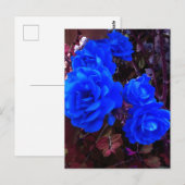 Blau-elektrische Rose Postkarte (Vorne/Hinten)