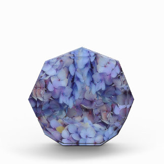 Blau Fotoblock