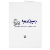 Blau-Füßige Vögel Galapagos (Hinten)