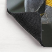 Blau-Gelb-Hyacinth-Papagei Mousepad (Ecke)