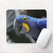 Blau-Gelb-Hyacinth-Papagei Mousepad (Mit Mouse)