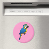 Blau-Gelb-Maca Magnet (In Situ (Geschirrspüler))