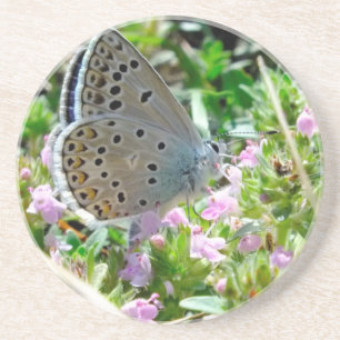 Blau gelb mit schwarzen Flecken Schmetterling auf Sandstein Untersetzer