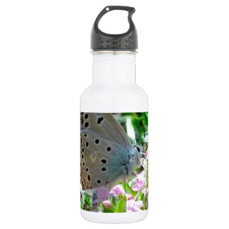 Blau gelb mit schwarzen Flecken Schmetterling auf Trinkflasche