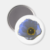 Blau-Gelb-Tulip-Magnet Magnet (Vorderseite/Rückseite)
