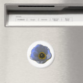 Blau-Gelb-Tulip-Magnet Magnet (In Situ (Geschirrspüler))