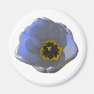 Blau-Gelb-Tulip-Magnet Magnet