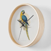 Blau-Gelbe Maca (Ara ararauna) Uhr (Winkel)