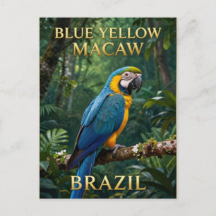 🦜 Blau-Gelber Ara Brasilianischer Regenwald Postkarte