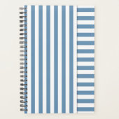 blau gestreift planer (Vorderseite)