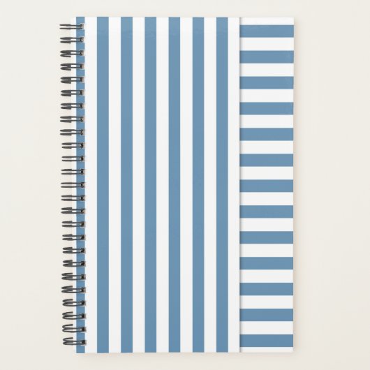 blau gestreift planer (Vorderseite)