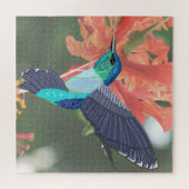 Blau-grüner Hummingvogel und orangefarbener Hibisk Puzzle (Horizontal)