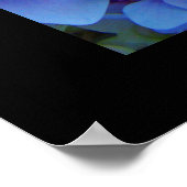 BLAU Hydrangea Garden Blume Kunstdrucke Poster (Ecke)