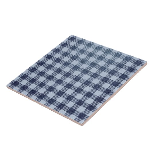 Blau Kariert Fliese (Seite)